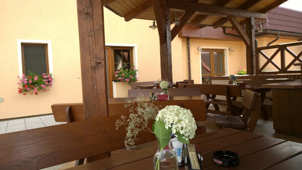 Wellness Penzion Pod Rozhlednou Kostelec nad Orlicí المظهر الخارجي الصورة